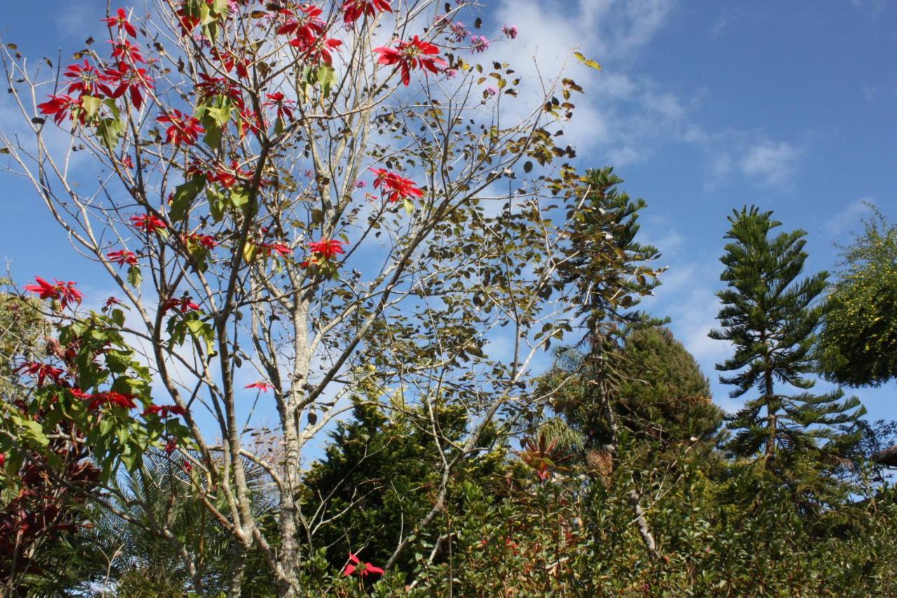 Pousada Campestre Sitio Da Lua Camanducaia Eksteriør bilde