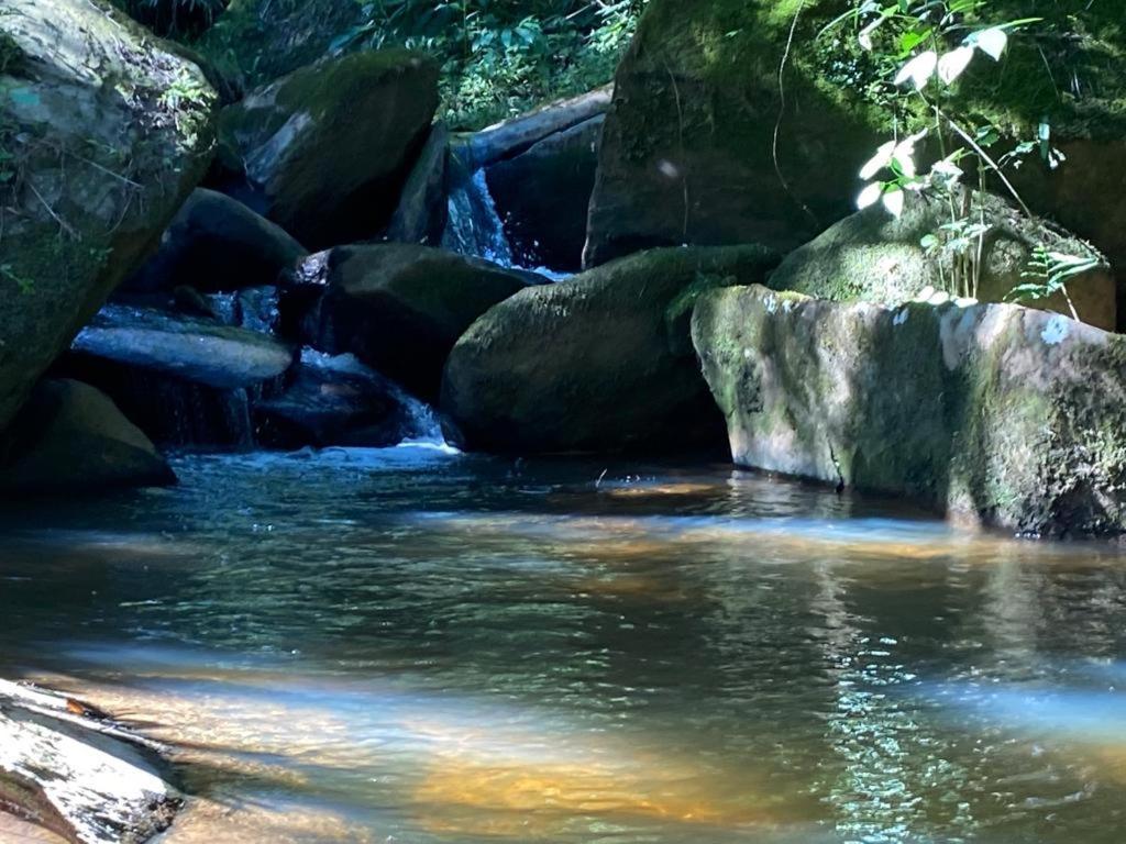 Pousada Campestre Sitio Da Lua Camanducaia Eksteriør bilde