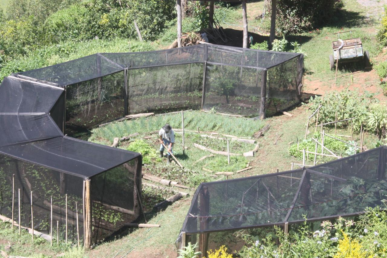 Pousada Campestre Sitio Da Lua Camanducaia Eksteriør bilde